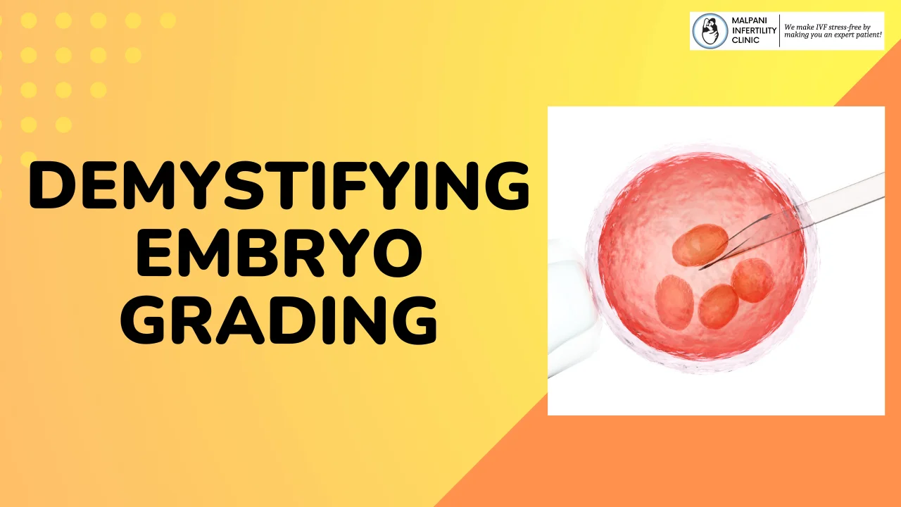 Embryo Grading in IVF Made Simple: What You Need to Know